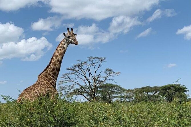 04 Days Tarangire, Serengeti and Ngorongoro crater group (Camping - The Itinerary Breakdown