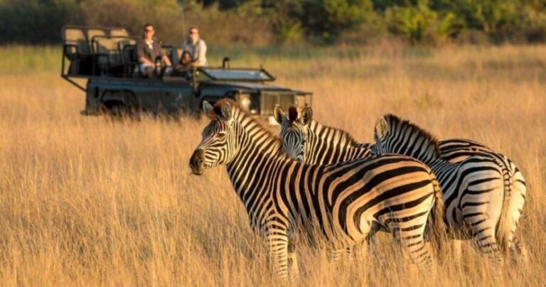 1/2 Day Phezulu Safari Park & Natal Lion park from Durban - What Travelers Say
