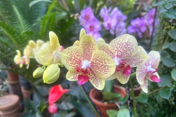 1/2 Day Puerto Vallarta Botanical Garden tour by Biologist Guide - Authentic Insights from Past Travelers