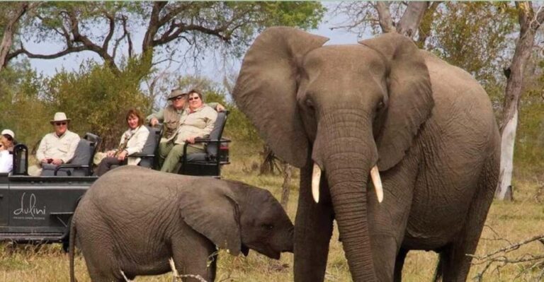 1/2 Day Tala Game Reserve & Natal Lion Park from Durban - Transportation & Group Size