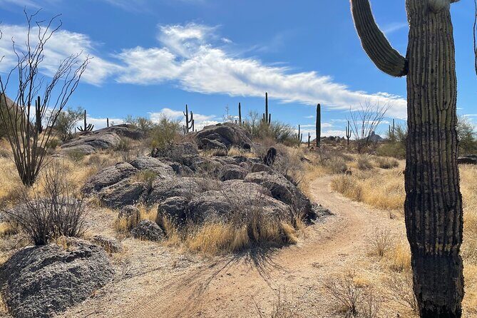 1-2 Hour Sonoran Desert Private Guided Hiking Tour - The Significance of the Trail and Scenery