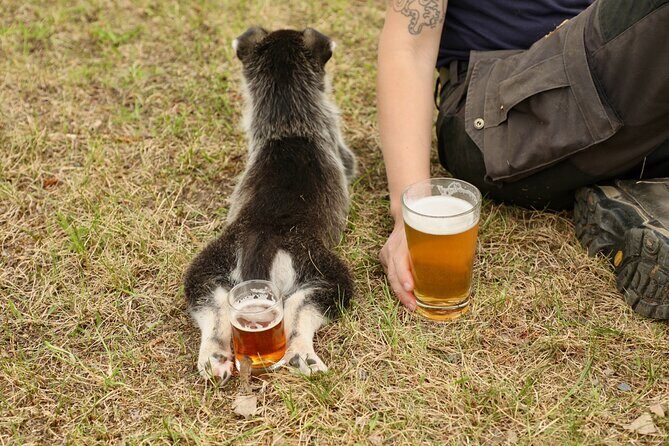 1.5-Hour Beer and Puppies Guided Experience in Fairbanks - The Experience Provider and Booking Details