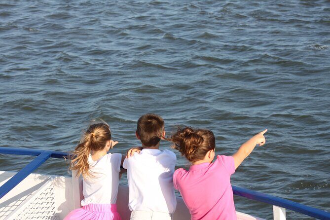 1.5-Hour Charleston Harbor Cruise with Live Narration - Analyzing the Value