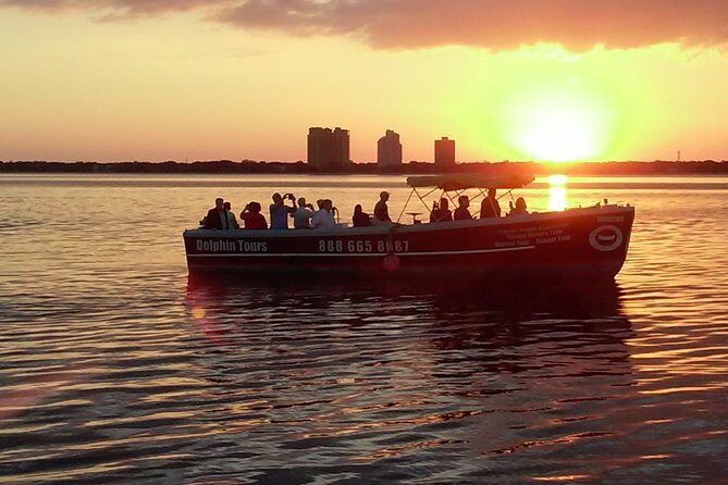 1.5-hour Dolphin Sightseeing Cruise from Tampa - Analyzing the Value