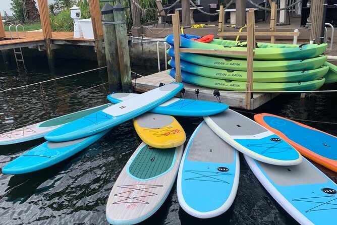 1.5 Hour Paddle Board Rental with Instruction - Why This Is a Great Choice