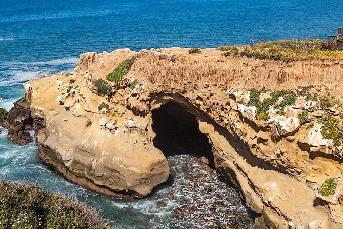 1.5 Hour Walking Tour from La Jolla in San Diego - What Travelers Are Saying
