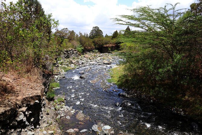 1 Day Arusha national park (Game drive and walking safari). - Detailed Breakdown of the Itinerary