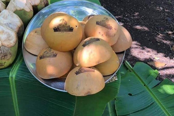 1 Day cocoa farm tour - The Experience from a Traveler’s Perspective