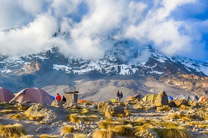 1 Day: Hiking Majestic Kilimanjaro - What’s Included and What’s Not