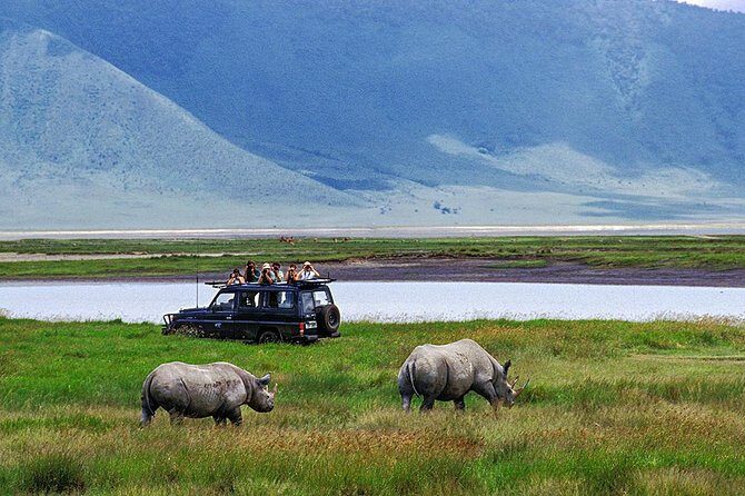 1 Day Joined Group Safari in Ngorongoro Crater National Park - A Detailed Look at the Tour Experience