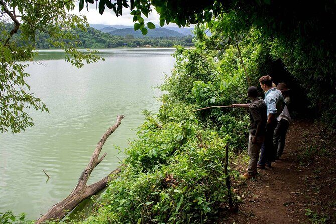 1 Day Lake Duluti Hiking and Canoeing - Detailed Itinerary Breakdown