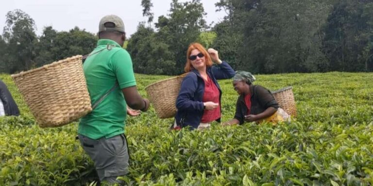 1-Day lake Kivu relaxation tour - What’s Included and What’s Not