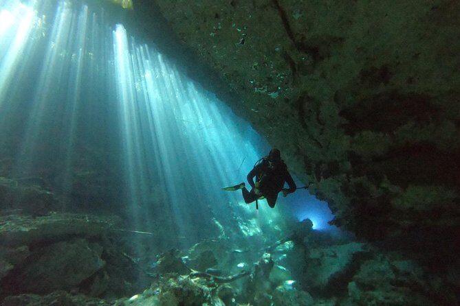 1 day of diving in Cenotes price for 2 certified divers - The Human Element: Guides and Customer Feedback