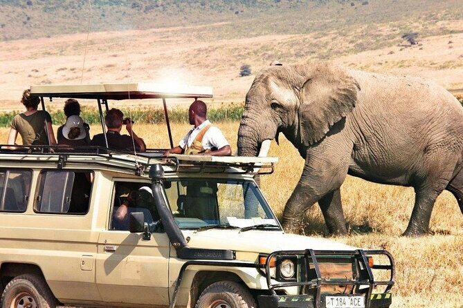 1 Day Private Ngorongoro Crater Safari - What’s Included and What’s Not