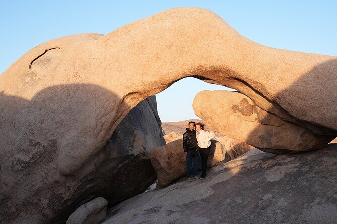 1-day Private Tour to Joshua Tree National Park from Los Angeles - Transportation, Timing, and Overall Value