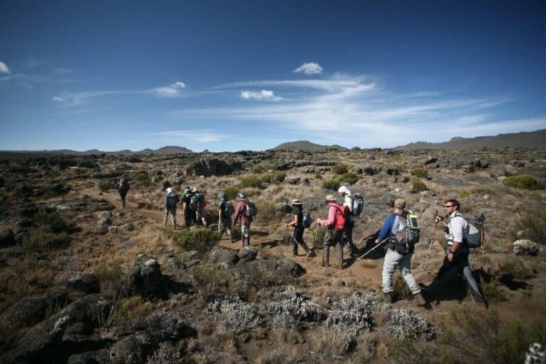 1-Day Shira Plateau-Kilimanjaro Hiking - Practical Details and Preparation