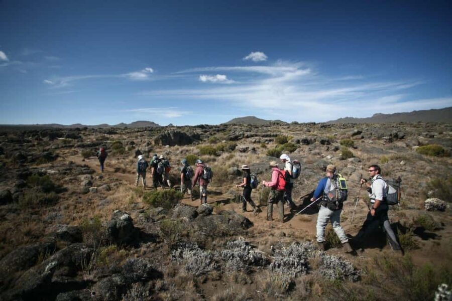 1-Day Shira Plateau-Kilimanjaro Hiking - Practical Details and Preparation