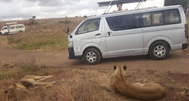 1 DAY TO NAIROBI NATIONAL PARK - Practical Details: What to Expect and How to Prepare