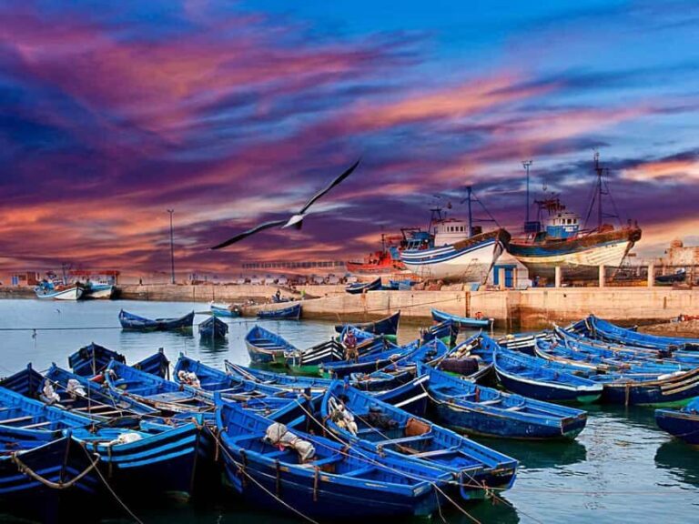 1 Day Trip from Marrakech To Essaouira - FAQs