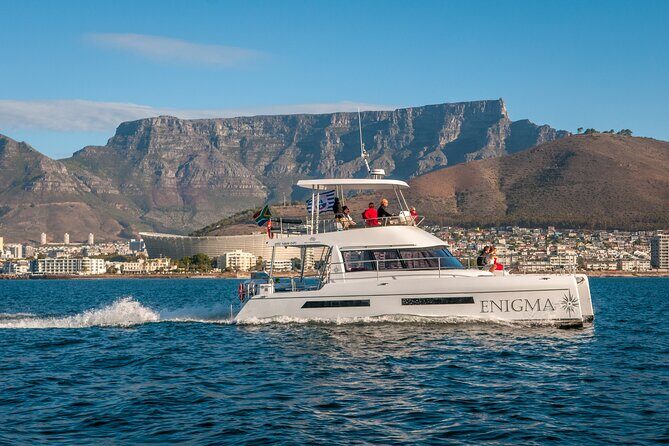 1 Hour Coastal Catamaran Cruise from Cape Town - What to Expect During the Itinerary