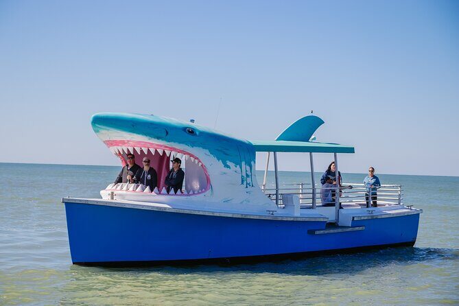 1-hour Dolphin Sightseeing Adventure Cruise from Madeira Beach - Authentic Experiences from the Reviews