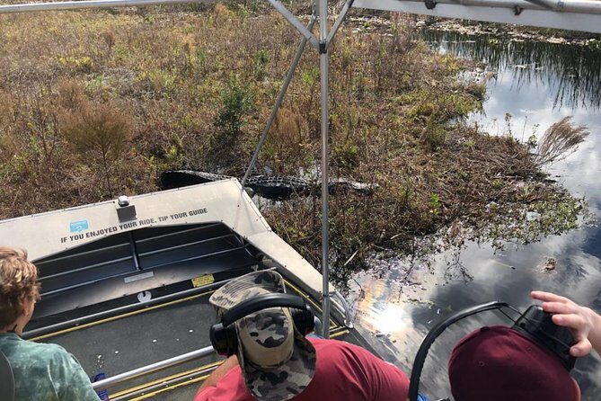 1 Hour Everglades Airboat Tour Central Florida - Why This Tour Stands Out in Orlando