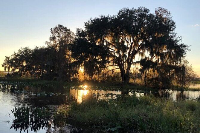 1 Hour Florida Everglades Wildlife Tour - The Experience and Group Size