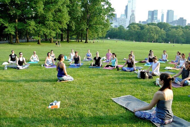 1 Hour Group Yoga Class in Central Park - The Class Structure and Content