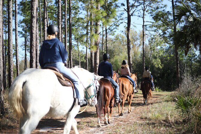 1 Hour Guided Horseback Trail Ride Rock Springs Run State Reserve - The Value of This Experience