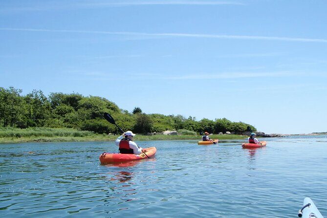 1 Hour Guided SUP/Kayak Tour in Pelican Bay at Fort Myers Beach - Who Will Love This Tour?