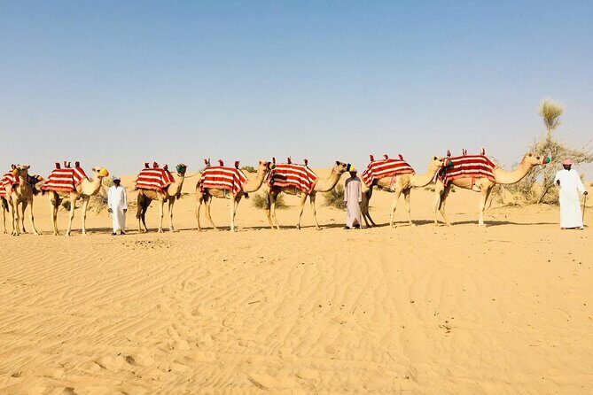 1 hour Private Camel Ride in Deep Desert - What to Expect from Your Camel Ride Adventure