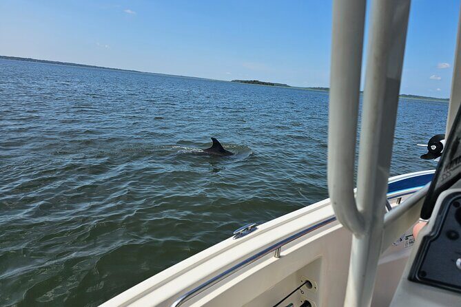 1 Hour Private Dolphin and Nature Tour - In-Depth Breakdown of the Itinerary