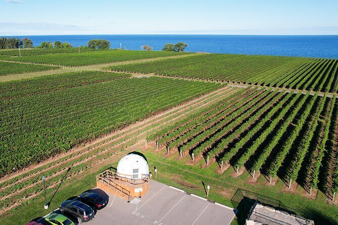 1 Hour Private Vineyard Dome Experience in Niagara-on-the-Lake - The Guide and Service
