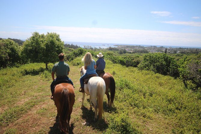 1 Hour Scenic Horseback Ride - The Sum Up