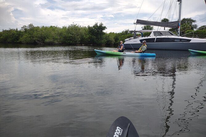 1-Hour Single Kayak Rental with Manatee & Dolphin sightings - What to Expect from Your Kayaking Adventure
