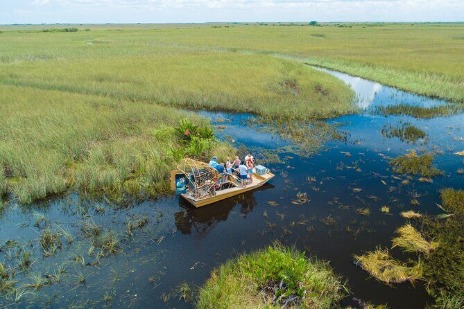 1 hr Private Airboat Everglades Tour near Miami - Practical Details and Tips