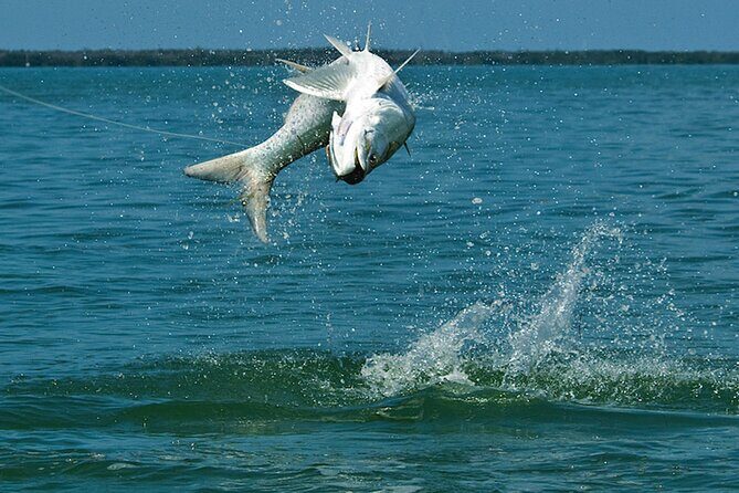 #1 Recommended Family Friendly Guided Fishing Charter Service - Practical Details & Booking