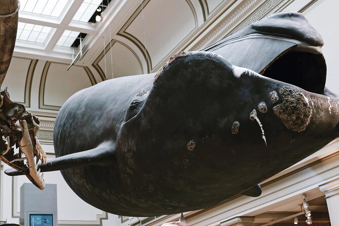 #1 Smithsonian Museum of Natural History | Satisfaction Guarantee - Authentic Experiences from Reviews
