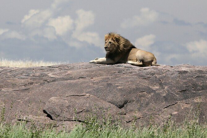 10 Days 9 Nights Exposure Africa Premium Safari Package - What Makes This Safari Stand Out?