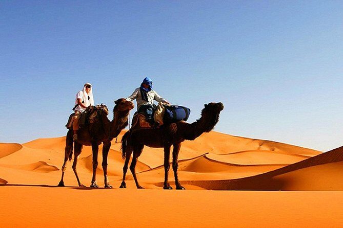 10 Days Tour From Casablanca, Morocco - Who Will Love This Tour?