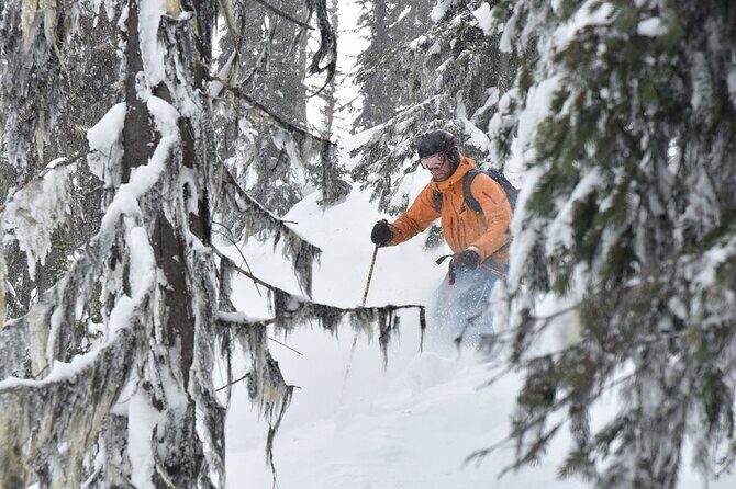 12 Days Powder Highway Ski and Snowboard Tour - Who Is This Tour Best For?