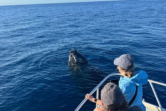 12 Passenger Kaanapali Beach Whale Watch tour. Onboard Whale Mic - Final Thoughts: Who Should Book?