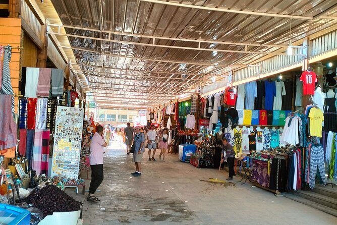 14 Days Egypt adventure Nile sahara desert bus tour - Sahara Desert: A Thrilling Desert Escape