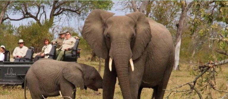 15 Day Tour of South Africa - Cape Town to Johannesburg - What Makes This Tour Stand Out?