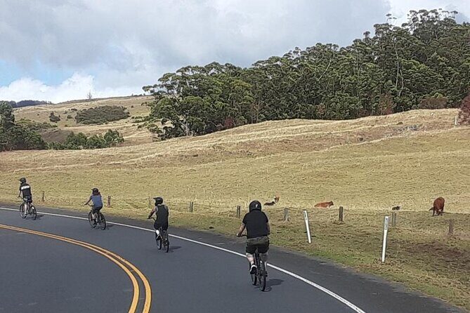 1pm Haleakala Unguided Downhill Tour - Who Will Enjoy This Experience Most?