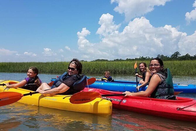 2 1/4 Hour Private Kayak Hilton Head Dolphin Nature Experience - What To Expect During the Tour