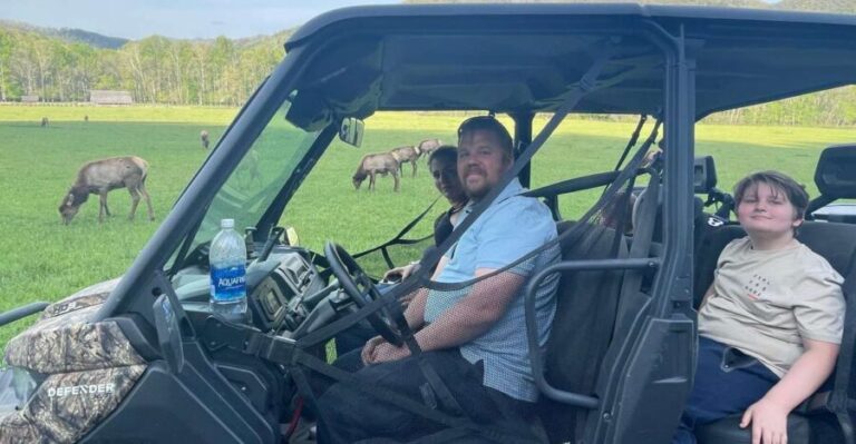 2.5-3 HR Maggie Valley: Guided Scenic UTV Adventure - Authentic Experiences and Real Traveler Feedback