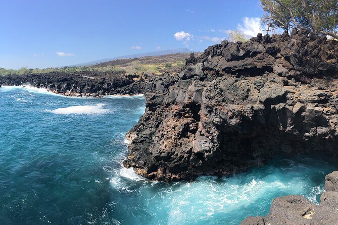 2.5 Hour Morning Snorkel - Authentic Marine Encounters and Real-Life Experiences
