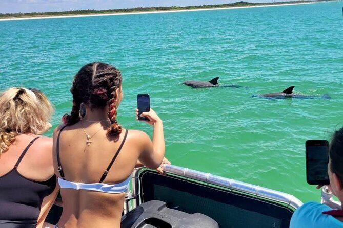 2.5 Hour Shell Key Island Adventure Including Dolphins And Shells - Who Will Love This Tour?