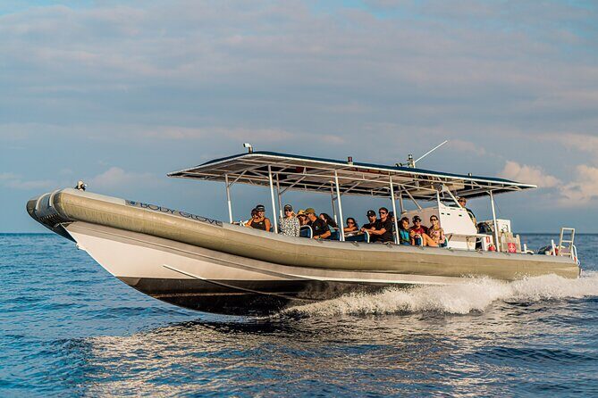 2.5-Hour Whale Watching On A 41' Super-Raft - Authentic Perspectives from Travelers
